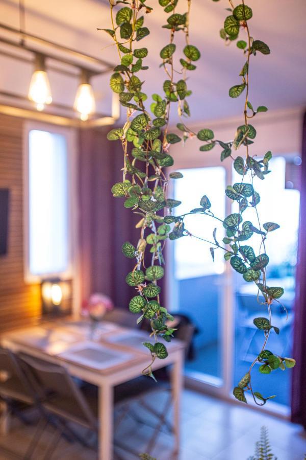 Superbe Appartement - Terrasses - Clim - Parking Prepaye La Valette-du-Var Ngoại thất bức ảnh