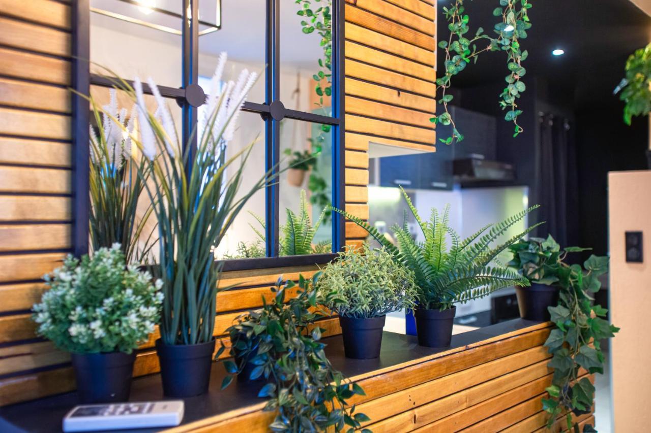 Superbe Appartement - Terrasses - Clim - Parking Prepaye La Valette-du-Var Ngoại thất bức ảnh